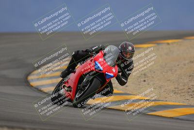 media/Jan-14-2023-SoCal Trackdays (Sat) [[497694156f]]/Turn 12 (120pm)/